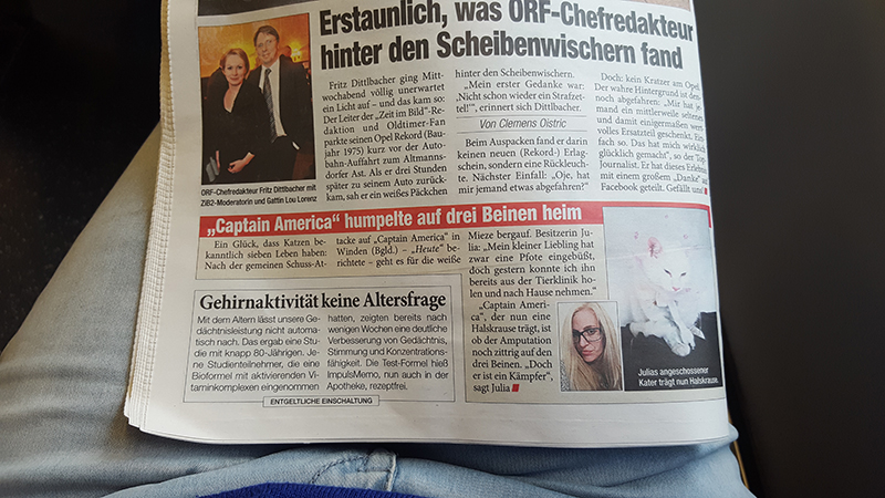 Bericht in der Zeitung