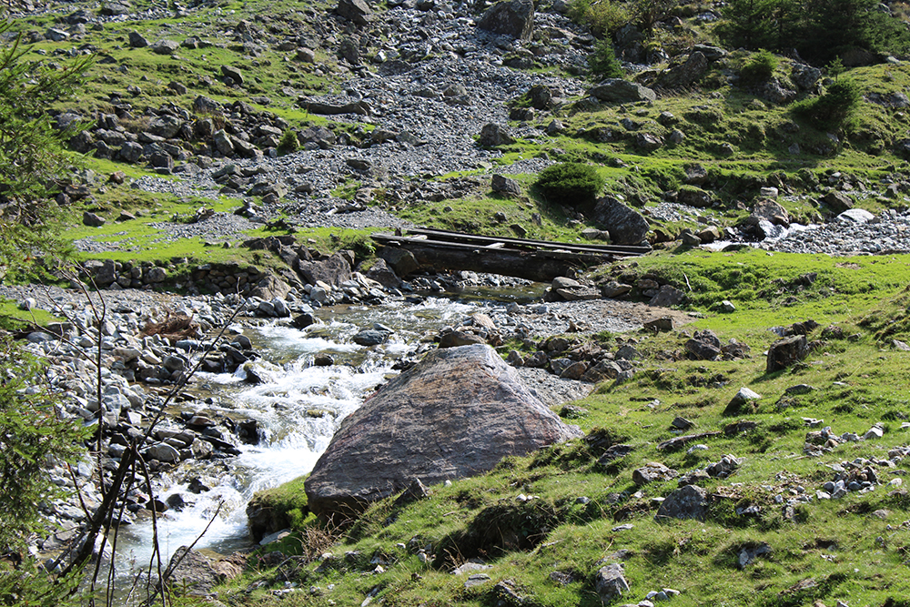 Wilde Wasser