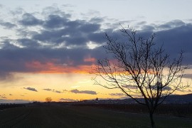 Inspiration #CoffeeTalk: How to get Inspiration!